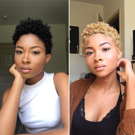 Black or blonde? 🤔 S Blonde Twa, Blonde Natural Hair, Short Natural Curly Hair, Tapered Natural Hair, Natural Hair Cuts, Natural Hair Short Cuts, Short Curls, Haircuts For Curly Hair, Natural Hair Inspiration