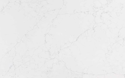 69% off your perfect Quartz (Engineered) Msi Q Quartz Calacatta Botanica countertop remnant in Austin, Texas. Only $503.84! Calacatta Botanica, Calacatta Lincoln, Quartz Calacatta, M Shadows, Alabaster White, Concrete Finish, How To Install Countertops, Stone Surface, Next Home