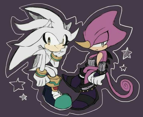 Silver and Espio Espio And Silver, Silver X Espio, Silver The Hedgehog, Sonic Characters, Blue Hedgehog, Sonic Franchise, Sonic 3, Hedgehog Art, Dark Soul