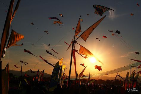 Kite Festival Frejus Sankranti Images, Happy Makar Sankranti Images, Makar Sankranti Image, 2023 Images, Kannada Language, Festival Dates, Go Fly A Kite, Kite Festival, Happy Makar Sankranti