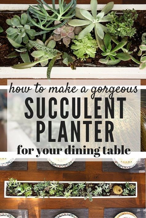 Succulent centerpieces are so simple to put together - here are the details for how to create a simple DIY succulent planter for your table. Diy Succulents Centerpiece, Diy Succulent Planter, Succulent Centerpiece, Succulent Planter Diy, Table Centerpieces For Home, Centerpiece Home, Farmhouse Side Table, Succulent Centerpieces, Succulent Bouquet