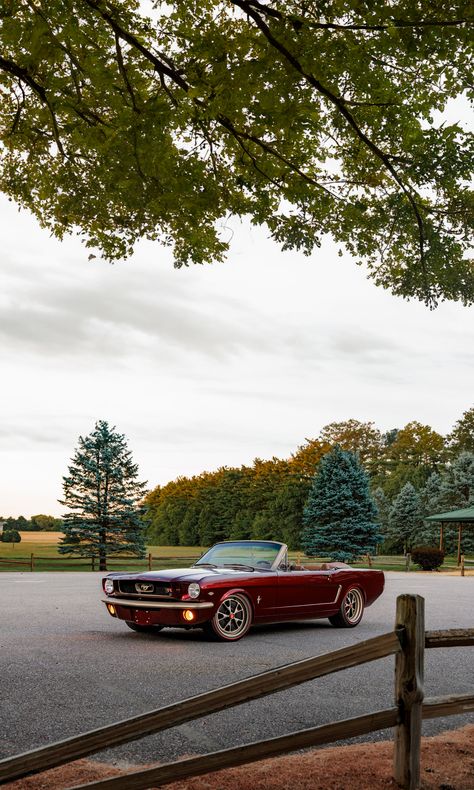 Vintage Cars Photography, Old Mustang Cars, Convertable Cars Aesthetic, Classic Cars Aesthetic, Old School Mustang, 1980 Mustang, Old Ford Mustang, Mustang Aesthetic, Old Ford Cars