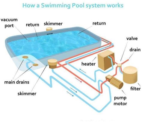 Swimming Pool Plumbing, Pool Plumbing, Plumbing Layout, Concrete Swimming Pool, Building A Swimming Pool, Swimming Pool Construction, Piscina Interior, Pools Backyard Inground, Swimming Pond