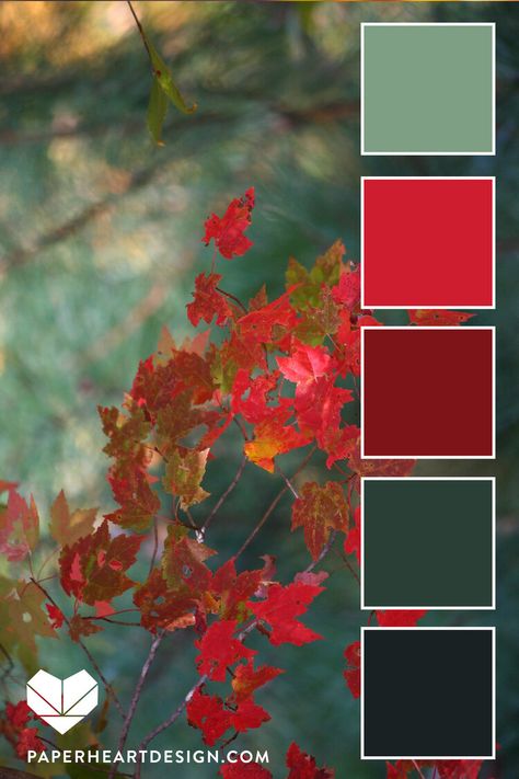 Color Schemes Colour Palettes, Kunst Inspiration, Fall Color Palette, Color Palate, Design Seeds, Color Palette Design, Autumn Leaf, Paper Heart, Colour Board