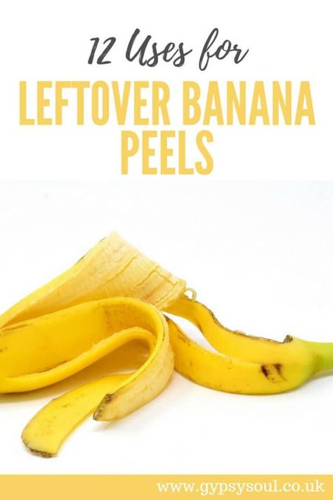 12 Uses for |Leftover Banana Peels #ReduceFoodWaste #ZeroWaste #SimpleLiving #GreenLifestyle Leftover Banana, Banana Peel Uses, Banana Peels, Banana Benefits, Fruit Benefits, Zero Waste Kitchen, Banana Peel, Eco Friendly Kitchen, Cold Home Remedies