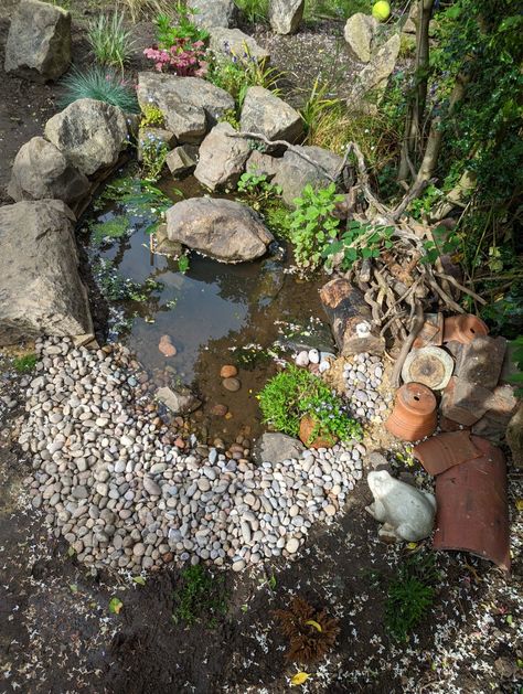 Small Wildlife Pond Ideas Uk, Small Wild Garden, Small Garden Wildlife Pond, Allotment Pond, Small Wildlife Pond, Toad Pond, Small Garden Pond, Tiny Pond, Small Pond Ideas