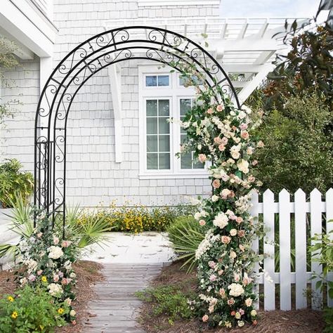 7 Ft. H Iron Garden Arbor - On Sale - Bed Bath & Beyond - 36854632 Climbing Flowers, Vegetable Plants, Rose Bushes, Garden Arbor, Black Garden, Rose Bush, Plant Supports, Planting Vegetables, Climbing Plants