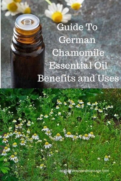 Chamomile Essential Oil Benefits, German Chamomile Essential Oil, Rosewood Essential Oil, Palmarosa Essential Oil, German Chamomile, Roman Chamomile Essential Oil, Therapy Business, Helichrysum Essential Oil, Massage Therapy Business