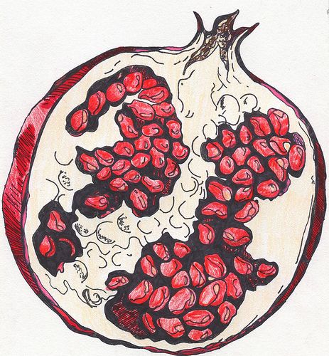 Pomegrante Chances Of Pregnancy, Pomegranate Art, Get Pregnant, Gcse Art, Arte Inspo, Arte Sketchbook, Art Sketchbook, Drawing Inspiration, Pomegranate