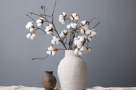 Cotton branches in white vase on neutral background stock photo Cotton Branches In Vase, Cotton Branches, Plant Styling, Vase With Branches, Botanical Photography, Cotton Stems, Neutral Background, White Vase, White Vases