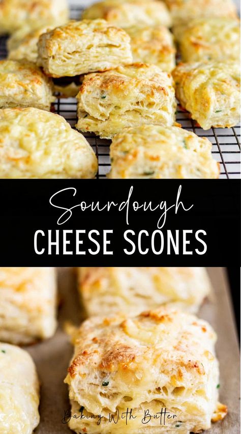 These sourdough cheese scones are tender and cheesy with a hint of fresh chives. They’re a great use for discard sourdough starter. Scones are so versatile and a basic sourdough scone dough can be used to incorporate all sorts of flavors. Sourdough Starter Scones, Sourdough Cheese Scones, Sourdough Discard Lemon Scones, Lemon Blueberry Sourdough Scones, Sourdough Discard Scones Recipes, Sourdough Scones Recipe, Scones Sourdough, Sourdough Discard Scones, Wholemeal Scones