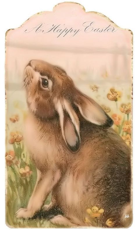 Vintage Easter Bunny Images, Decorated Eggshells, Chris Kent, Easter Images Free, Easter Tag, Vintage Easter Postcards, Vintage Easter Cards, Cats Art Drawing, Bunny Images