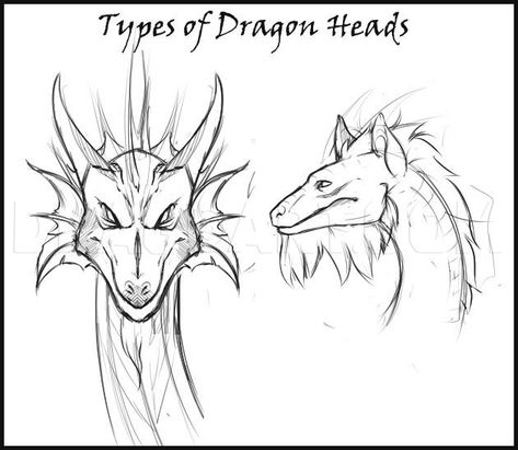 Dragon Head Drawing, Draw A Dragon, Dragon Poses, Dragon Anatomy, Dragon Heads, Types Of Dragons, Dragon Face, Wings Of Fire Dragons, Drawing Heads