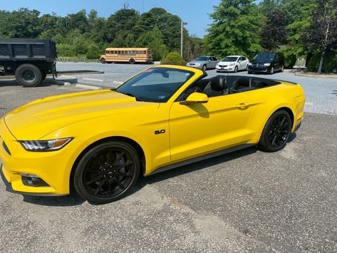 2016 Ford Mustang Gt 2016 Ford Mustang Convertible Yellow Rwd Manual Gt Price : $ 39,700 Category : Mustang Condition : Used Location: 082**, Cape May Court House,NJ,USA Visit listing » 2016 Ford Mustang, Gt 350, S550 Mustang, Ford Mustang For Sale, Ford Mustang Convertible, Mustang Convertible, Cape May, Ford Mustang Gt, Mustang Gt