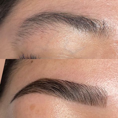 Eyebrows Wax And Tint, Eyebrow Shaping And Tinting, Eyebrow Lamination And Tint, Tinted Eyebrows, Brow Lamination And Tint, Eyebrow Ideas, Eyebrows Shaping, Facial Services, Blush Pink Nails