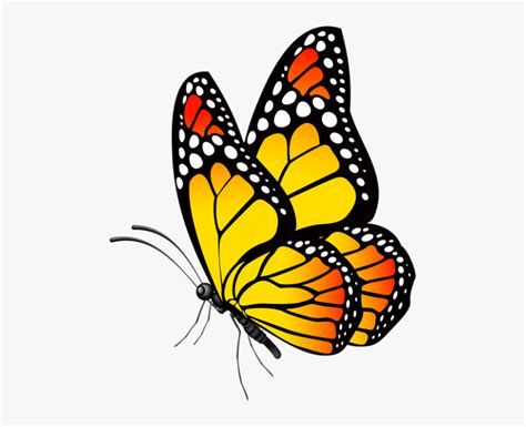 Butterfly Clipart - Google Search | Butterfly Clip Art Butterfly Clipart Png, Drawing Butterfly, Butterfly Clipart, Butterfly Art Painting, Art Butterfly, Butterfly Images, Butterfly Illustration, Drawing Clipart, Butterfly Clip Art