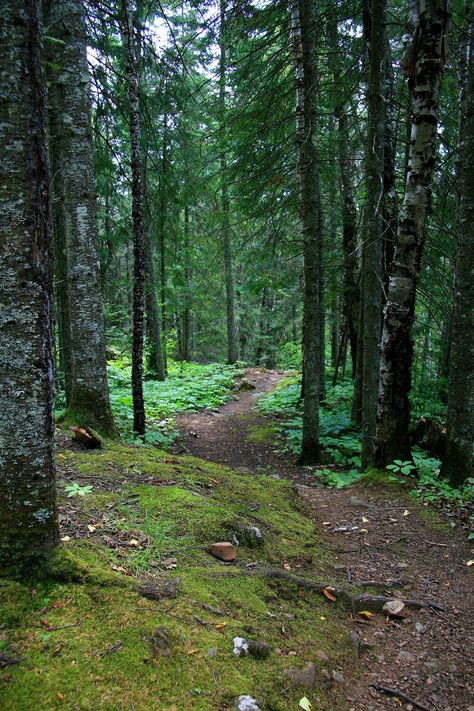 Rock Shelves, Minnesota Hiking, Superior Wisconsin, Nice Place, Hiking Trail, Walk In The Woods, Camping Experience, Lake Superior, Camping And Hiking