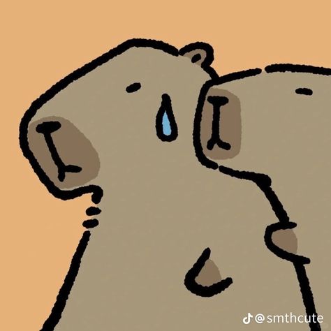 Capybara Matching Pfp, Cappy Berra, Cool Wallpapers Drawings, Meme Pic, Matching Stuff, Cute Doodles Drawings, Funny Doodles, Cute Animal Drawings, Matching Pfps