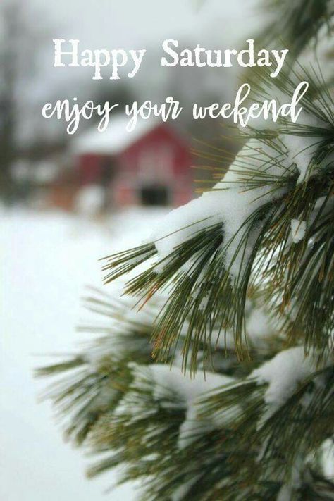 Saturday Morning Images, Winter Blessings, Happy Saturday Quotes, Saturday Greetings, Friday Morning Quotes, Weekend Images, Sunday Morning Quotes, Good Morning Happy Saturday, Saturday Quotes