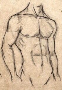 Sketches Of Male Bodies, Sketch Body Male, Sketches Of Bodies, Sketches Bodies, Abs Drawings, Sketchbook Ideas Anime, Men Drawing Sketches, Body Drawing Male, Male Body Sketches