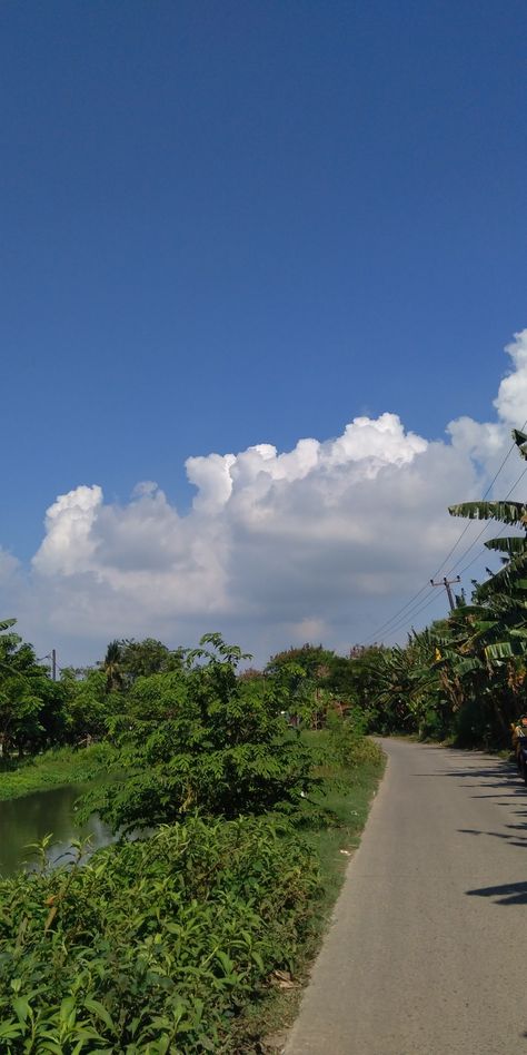 Background Rumput Aesthetic, Beautiful Sky Photography, Road Nature, Pictures Of Nature, Photos Of Nature, Blue Sky Photography, Sky Anime, Sky Photography Nature, Fotografi Vintage