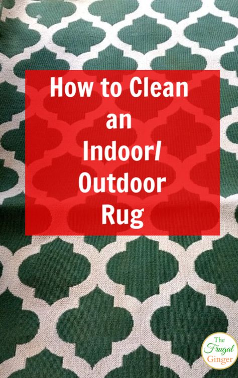 Cleaning Pet Urine, Outdoor Camping Rugs, Bissell Carpet Cleaner, Dollar Diy, Clean Patio, Camping Rug, Carpet Cleaner Homemade, Diy Cleaning Products Recipes, Indoor Outdoor Carpet