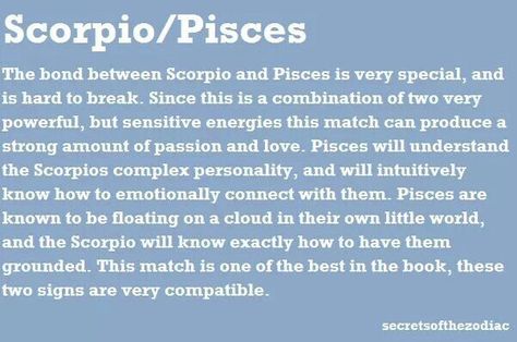 Pisces X Scorpio Couple, Pisces Woman Scorpio Man, Scorpio Evolution, Pieces And Scorpio, Scorpio And Pisces Relationship, Horoscope Elements, Pisces Relationship, Scorpio Relationships, Scorpio Compatibility