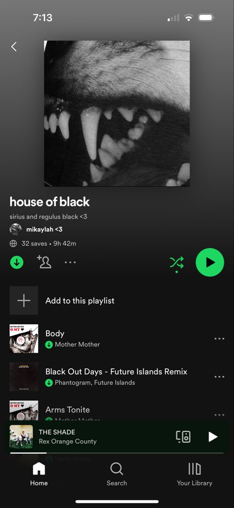 Sirius Black Playlist, Harry Potter Playlist, House Of Black, Book Tok, Harry Potter Music, Play List, Song Suggestions, Music Recommendations, Song List