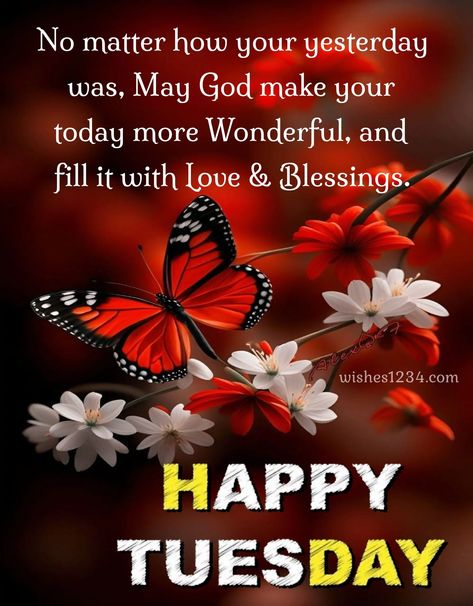 Tuesday Afternoon Blessings, Happy Tuesday Blessings, Tuesday Morning Wishes, Happy Tuesday Pictures, Happy Tuesday Images, Good Morning Tuesday Images, Good Morning Prayer Quotes, Tuesday Pictures, Happy Tuesday Morning