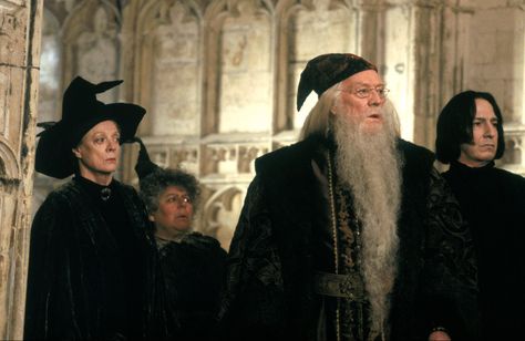 Minerva McGonagall, Pomona Sprout, Albus Dumbledore and Severus Snape in Harry Potter and the Chamber of Secrets. Quiz Harry Potter, Hogwarts Professors, Minerva Mcgonagall, Richard Harris, Harry Potter Quiz, Harry Potter Severus Snape, Severus Rogue, Images Harry Potter, Ron And Hermione