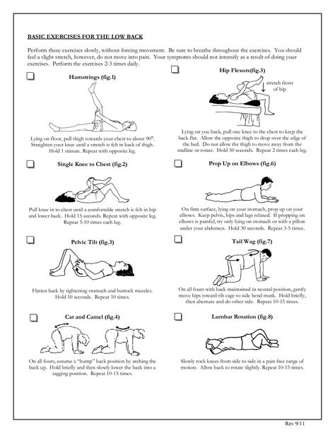 Mckenzie Exercises, Physiotherapy Exercises, Physical Therapy School, Physical Therapy Student, Yoga Routine For Beginners, Physical Therapy Exercises, Body Coach, Yoga For Back Pain, Medical Anatomy