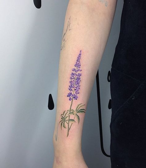 Spontaneous Tattoo, Lupin Flower, Watermelon Tattoo, Bouquet Tattoo, Wonderland Tattoo, Rosen Tattoo, Weird Tattoos, Hummingbird Tattoo, Botanical Tattoo