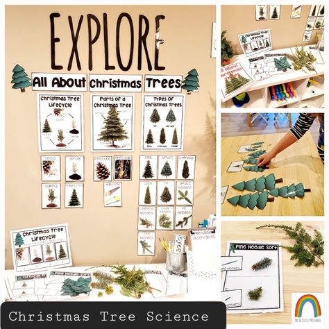 Christmas Tree Experiment, Tree Dramatic Play, Christmas Tree Dramatic Play, Tree Farm Dramatic Play, Science Center Preschool, Toddler Christmas Tree, Lake Theme, Spruce Christmas Tree, Christmas Science