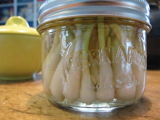 Pickled Wild Garlic, Pickled Wild Leeks, Pickled Ramps Recipe, Leak Recipes, Pickled Leeks, Pickled Things, Wild Leeks, Pickled Ramps, Leeks Recipe