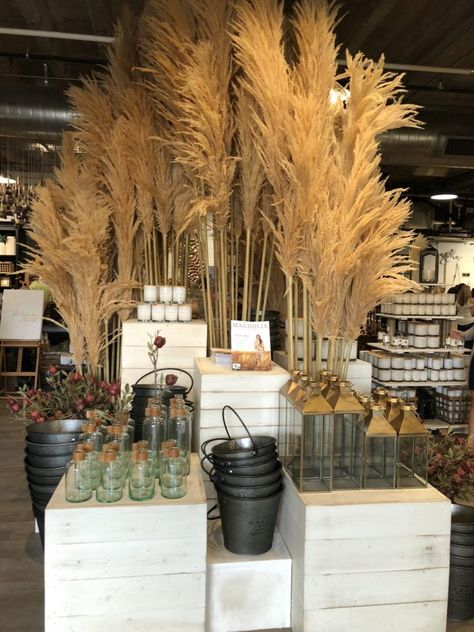 Fall Displays Retail, Fall Retail Display Ideas, Fall Retail Display, Fall Store Displays, Autumn Window Display, Fall Displays, Fall Windows, Window Display Retail, Flower Shop Design