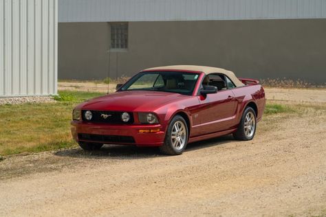 2006 Mustang, Ford Mustang Gt Convertible, Mustang Gt Convertible, 2006 Ford Mustang, Mustang Convertible, Indianapolis Indiana, Ford Mustang Gt, Motor Company, Mecum Auction