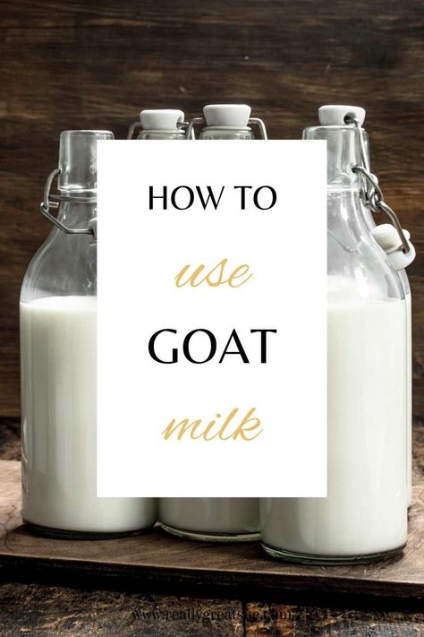 Goat Milk Desserts, Goat Milk Coffee Creamer, Ancestral Kitchen, Milk Dessert Recipes, Milk Uses, Goat Milk Body Butter, Milk Ideas, Goat Milking, Goat Milk Recipes