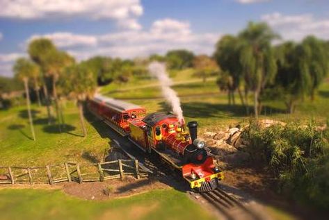 Screenshot Tilt Shift Photos, Tilt Shift Photography, Tilt Shift Lens, Photography Help, Busch Gardens, Tilt Shift, Types Of Photography, Photography Projects, Weird World