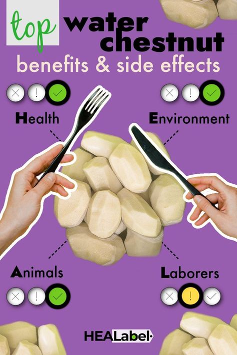 LOVE asian food and always forget about buying water chestnuts. Interesting info on water chestnut benefits and side effects...you don't know what you don't know! Chestnut Benefits, Asian Ingredients, Water Chestnut, Water Chestnuts, Alkaline Foods, Healthy Veggies, Healthy Vegetables, Low Fodmap, Asian Food