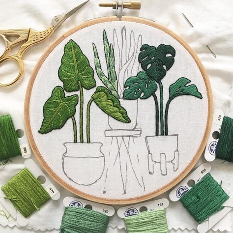 Happy #wipwednesday 🌿5-inch monstera, elephant ear, and snake plant hoop #Regram via @hoopandwheel Colocasia Plant, Elephant Ear Plant Care, Shade Loving Plants, Plants Beautiful, Beautiful Elephant, Elephant Ear Plant, Plant Propagation, Diy Embroidery Patterns, Elephant Ears