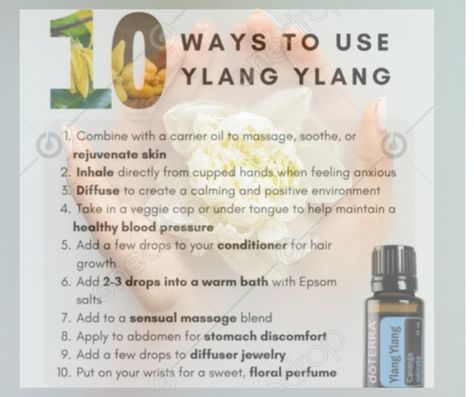 Healthy Blood Pressure, Diffuser Jewelry, Oil Uses, Essential Oil Uses, Oil Blends, Doterra Essential Oils, Carrier Oils, Skin Rejuvenation, Ylang Ylang