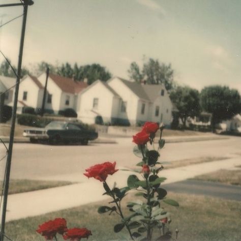 Vintage Americana Aesthetic, Americana Summer, Terrence Loves You, Americana Aesthetic, Fotografi Vintage, Polaroid Pictures, Lust For Life, Vintage Americana, Foto Art