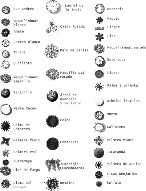 IDEARK_CALI. Softwares aplicados a diseño, ingenieria y arquitectura.: Simbologia y representación arquitectónica. (bloques en planta, alzado lateral y frontal). Architectural Trees, Architecture Symbols, Landscape Architecture Graphics, Landscape Design Drawings, Landscape Architecture Drawing, Tree Sketches, Garden Drawing, Landscape Sketch, Architecture Design Drawing