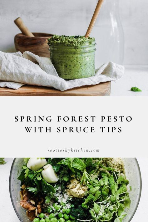 Spruce Tips Recipes, Simple Pesto Recipe, Foraged Recipes, Spruce Tips, Wild Foraging, Wild Food Foraging, Foraging Recipes, Foraged Food, Green Superfood