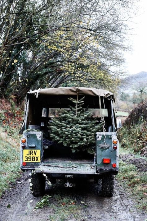 Christmas Tree Smell, Real Christmas Trees, Car Leasing, English Christmas, American Trucks, Christmas Cottage, Real Christmas, Real Christmas Tree, Cottage Christmas