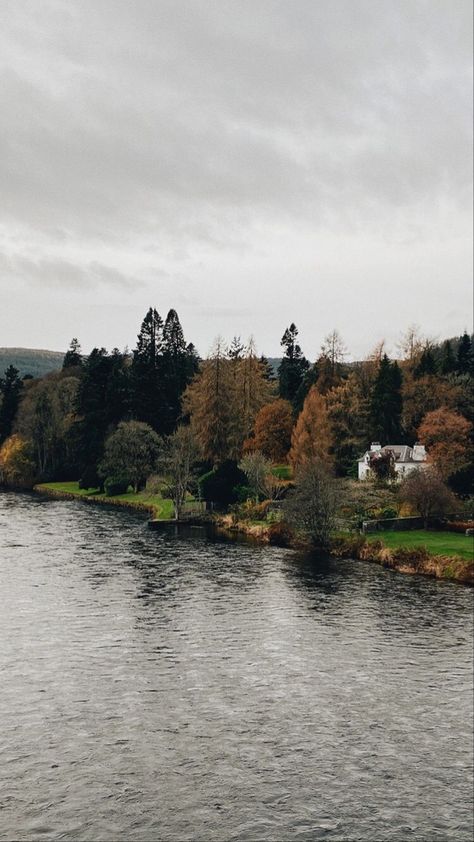 Cloudy Day Wallpaper, Cloudy Day Aesthetic, Day Wallpaper, Day Aesthetic, Dark Nature Aesthetic, Cloudy Day, Nature Aesthetic, Aesthetic Wallpaper, Aesthetic Wallpapers