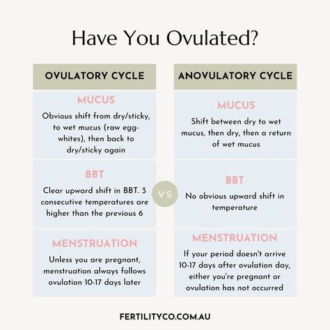 Basal Body Temperature Fertility, Cervical Mucus Cycle, Basal Body Temperature Chart, Ovulatory Cycle, Cycle Tracking, Ovulation Cycle, Basal Body Temperature, Temperature Chart, Cervical Mucus