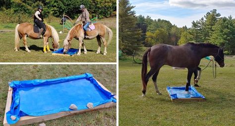 Obstacles For Horses Ideas, Diy Horse Obstacles Ideas, Horse Obstacles Ideas, How To Make Horse Jumps, Trail Obstacles For Horses, Diy Horse Obstacles, Horse Obstacle Course Ideas Diy, Horse Desensitizing Ideas, Horse Desensitizing