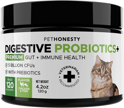 Probiotic Strains, Digestive Supplements, Constipation Relief, Gut Flora, Healthy Digestive System, Seasonal Allergies, Natural Dog Treats, Immune Health, Healthy Digestion