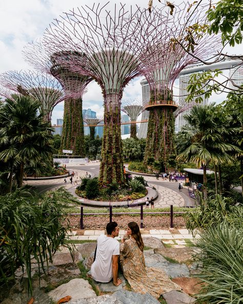 The Most Instagrammable Places in Singapore. What to do in Singapore. Best Photo Spots in Singapore. Singapore Couple Photos, Singapore Couple, Life Abundantly, Supertree Grove, Singapore Outfit, Singapore Vacation, Art Science Museum, Museum Garden, Singapore Garden